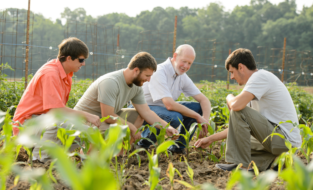 Zachary Brenton (second from left), who completed a doctoral degree at Clemson University, founded Carolina Seed Systems out of research he had undertaken while in Clemson's Advanced Plant Technology Program. (Photo/Clemson University)