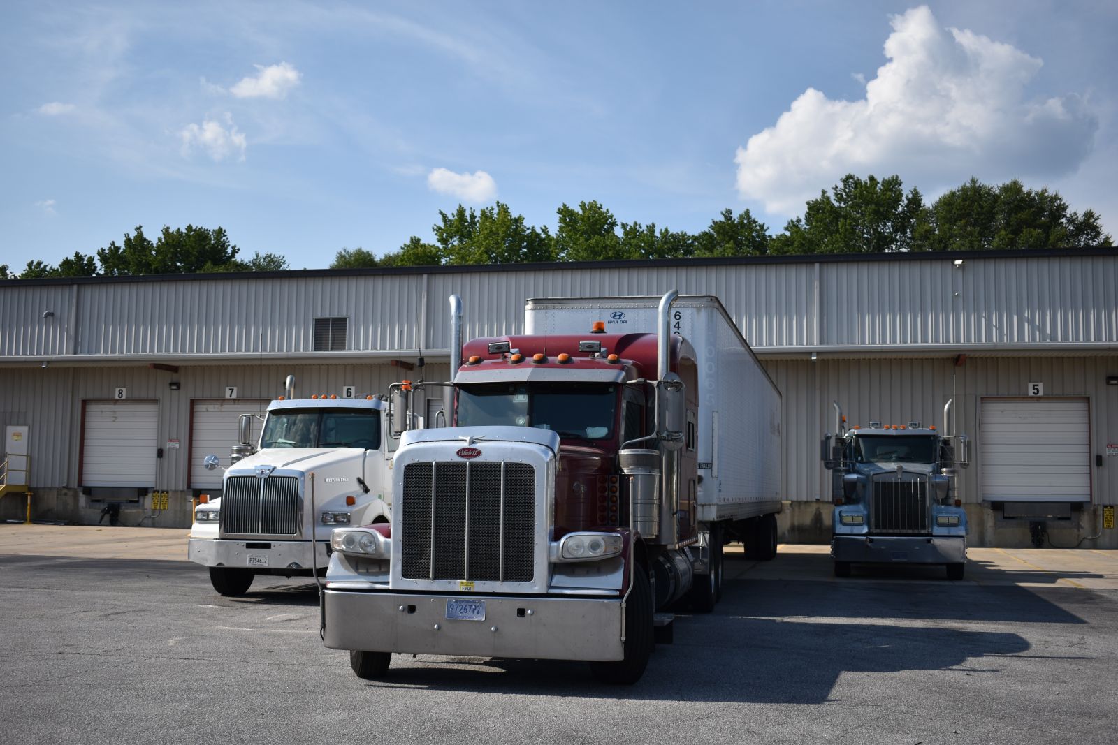 A red tractor with a night cab is parked beside two day cabs. The trucks are part of Swafford's 20-tractor and 250-trailer fleet. (Photo/Molly Hulsey)