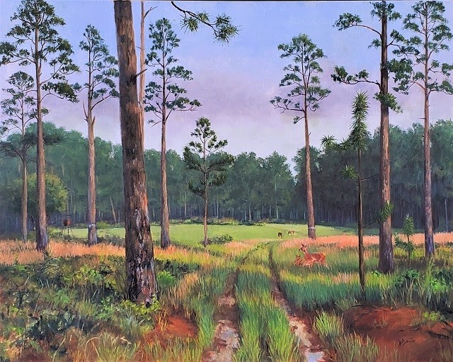 A commemorative essay and art series created by artist John Davis and featuring S.C. natural areas will be on display at the S.C. State Library on March 20. (Photo/Provided)