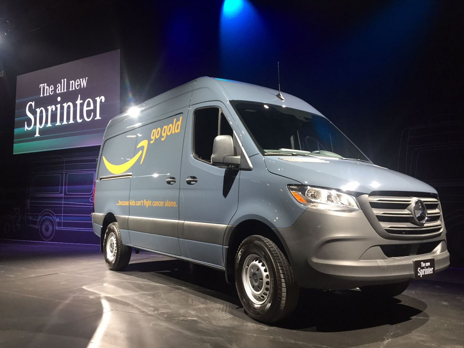 Mercedes-Benz Vans employs more than 1,700 people in the area and has been in operation since 2018. (Photo/File)