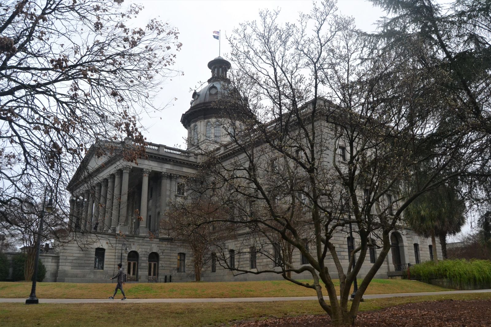 Several weighty issues, including education and tax reform and the fate of Santee Cooper, face S.C. legislators in 2020. (Photo/Melinda Waldrop)