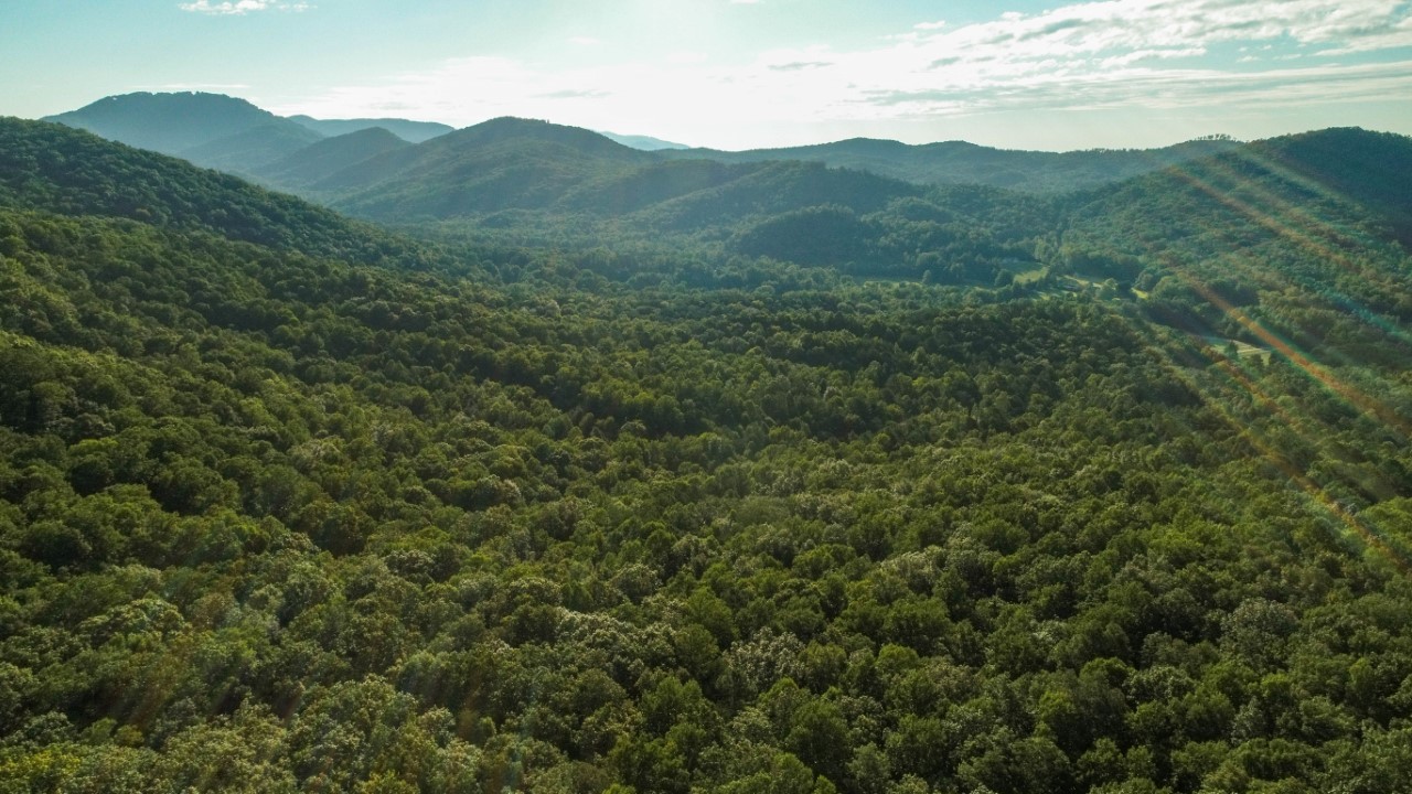 The 300 acres known as the White Tract lie in northern Greenville County near Jones Gap State Park. (Photo/Provided)