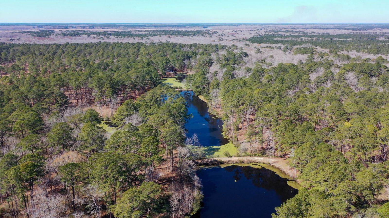 The Willtown tract of land has been recently listed for $13.5 million. (Photo/Provided)