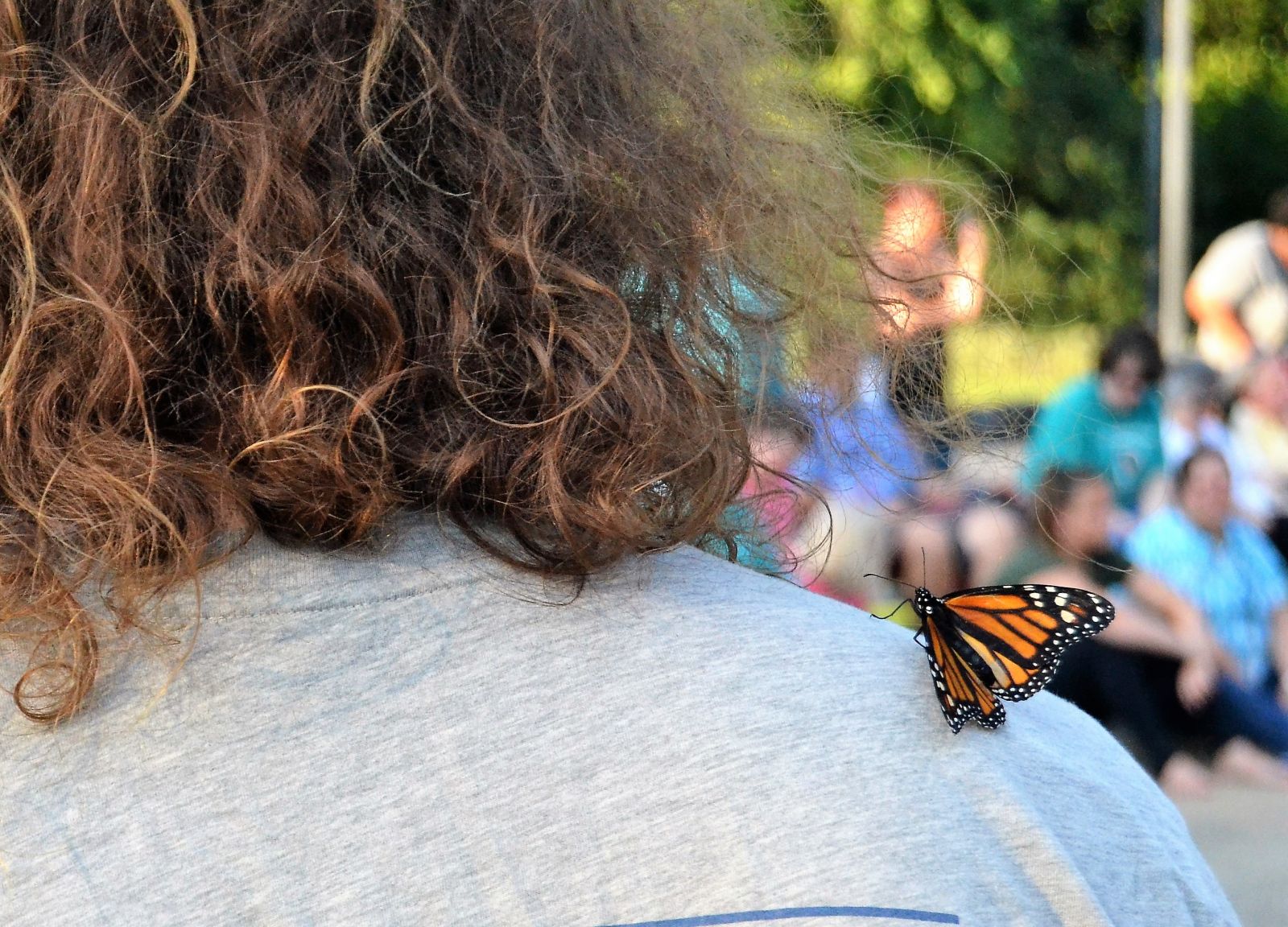 A butterfly alights on the shoulder of an attendee at Thursday's Cathy B. Novinger Butterfly Release for Ovarian Cancer at the Statehouse. (Photo/Travis Boland)