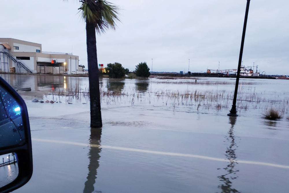 A salt marsh along Lockwood Boulevard during a high tide. (Photo/Army Corps of Engineers)