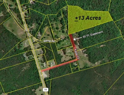 Barton Michell Sr. and Jr. recently purchased 13 acres of property on Billings Road, Enoree. (Photo/Provided) 