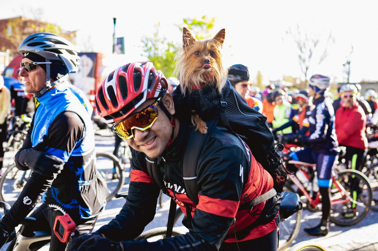 Tour de Paws, hosted at Spartanburg Community College, has been running for 20 years. (Photo/Provided)