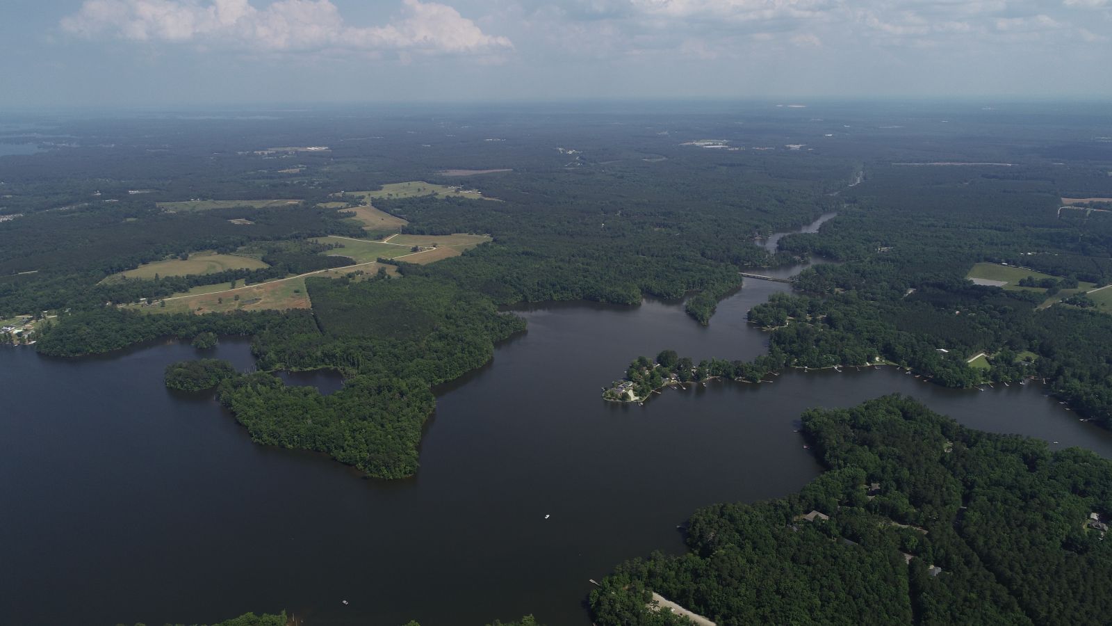 Around 250 people flooded an Oct. 5 sales event for the Palmetto Pointe development planned for Lake Murray in Saluda County, buying 86 out of the 98 lots available. (Photo/American Land Holdings)